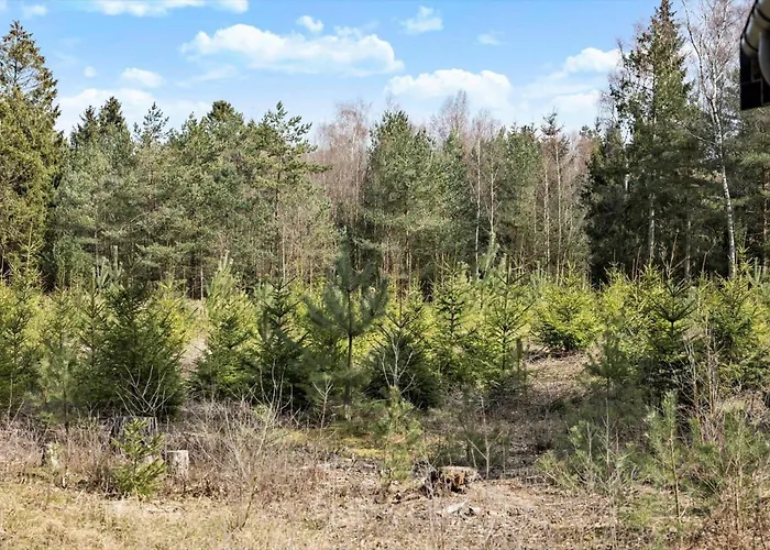 2634-nexo-strandbyskoven-1 Neksø